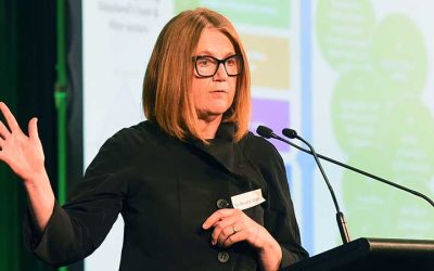 Strategy Tools in Action Report: Dr. Nicola Watts from C 4 Impact