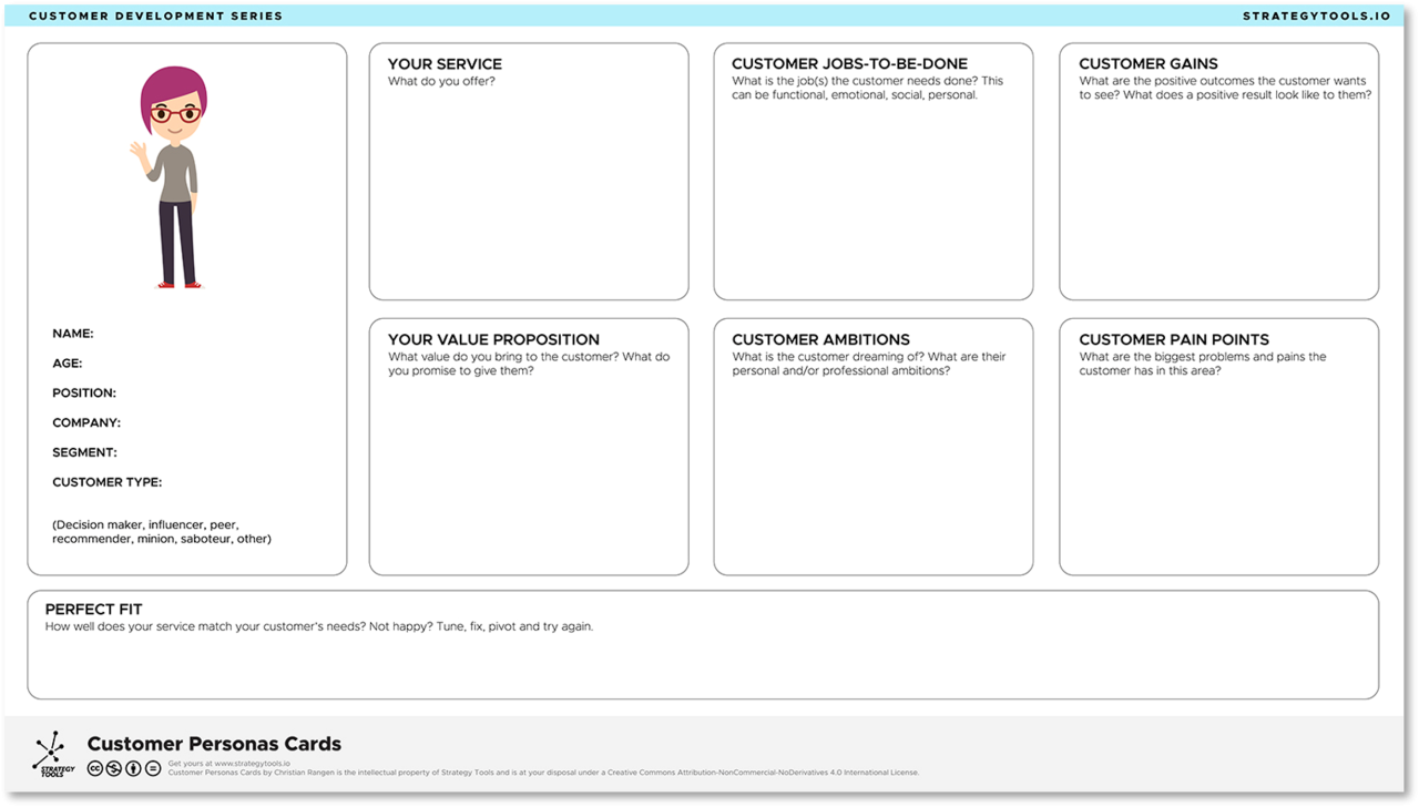 Customer Development Series | Strategy Tools Platform